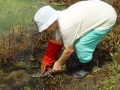 Alice_really_releasing__Alligator