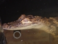 DSC05587
