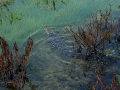 DSC05665