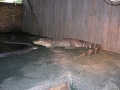 DSCN7418