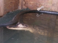 DSCN7427_1