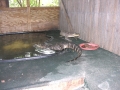 DSCN7428