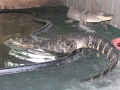 DSCN7428_1