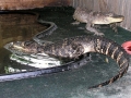 DSCN7428_2