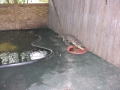 DSCN7429