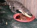 DSCN7429_2