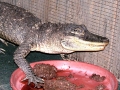 DSCN7431_2