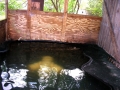 DSCN7432