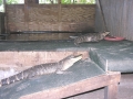 DSCN7449