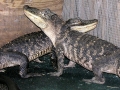 DSCN7466_2