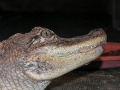 DSCN7495_2