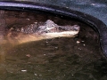 DSCN7642
