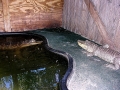 DSCN7643