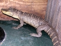 DSCN7646