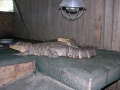 DSCN7802