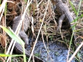 DSCN7843