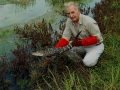 Ron_releases_alligator_9-7-2003