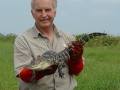 Ron_releasing_Alligator