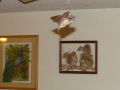 11-14-09_Bat_Photos_024