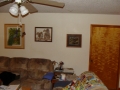 11-14-09_Bat_Photos_031