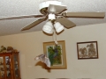 11-14-09_Bat_Photos_035