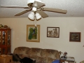 11-14-09_Bat_Photos_037