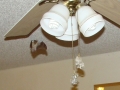 11-14-09_Bat_Photos_043