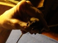 11-14-09_Bat_Photos_044