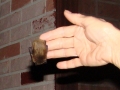 11-14-09_Bat_Photos_049
