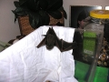 DSCN0052