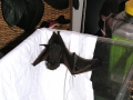 DSCN0054