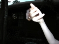 DSCN0062