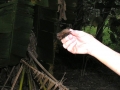 DSCN1401