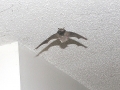 DSCN2689