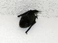 DSCN3317