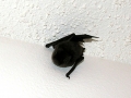 DSCN3318