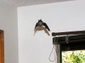 DSCN3322
