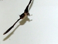 DSCN3331