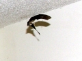 DSCN3333