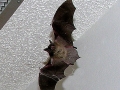DSCN3345