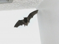 DSCN3349