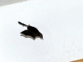 DSCN3350