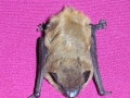 DSCN7869