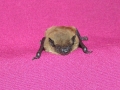 DSCN7870