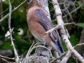 DSCN3577