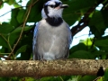 DSC03112