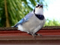 DSC03204