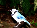 DSC03600