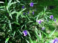 DSC00024