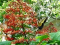 DSC01476